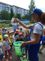 Защитим природу от мусора Защитим природу от мусора.